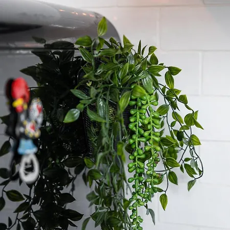 Lägenhet Guestready - Cosy In The Historic Heart Of *